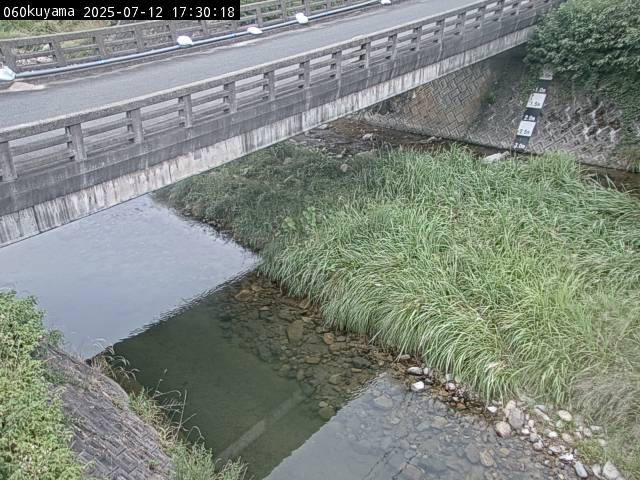 最新監視カメラ画像