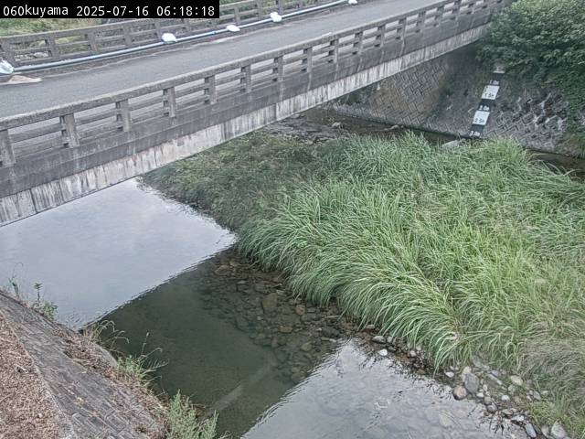 最新監視カメラ画像