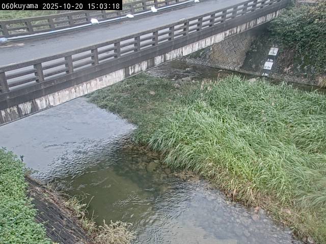 最新監視カメラ画像