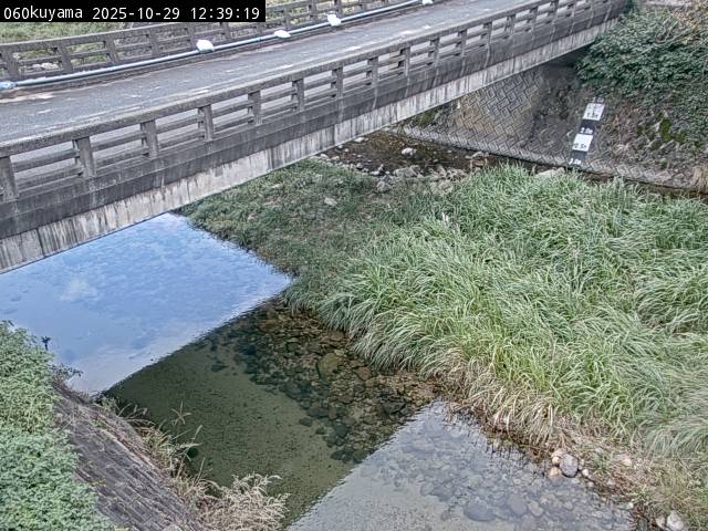 最新監視カメラ画像