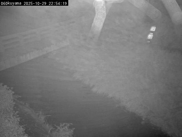 最新監視カメラ画像