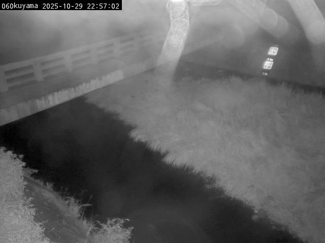 最新監視カメラ画像