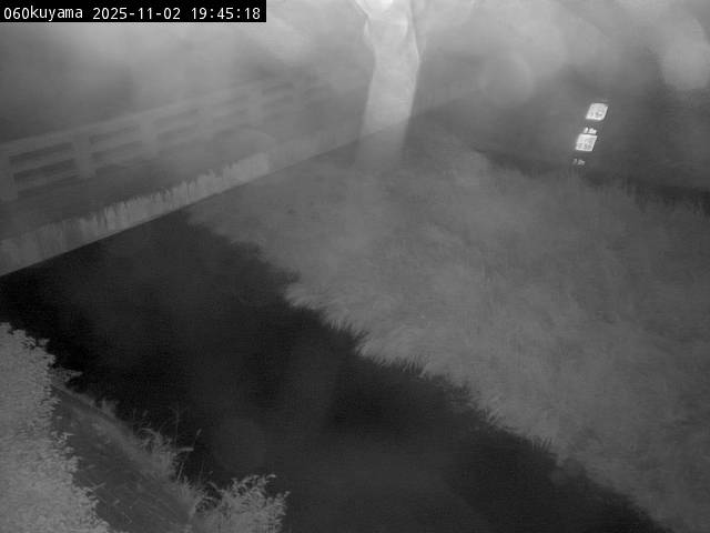 最新監視カメラ画像