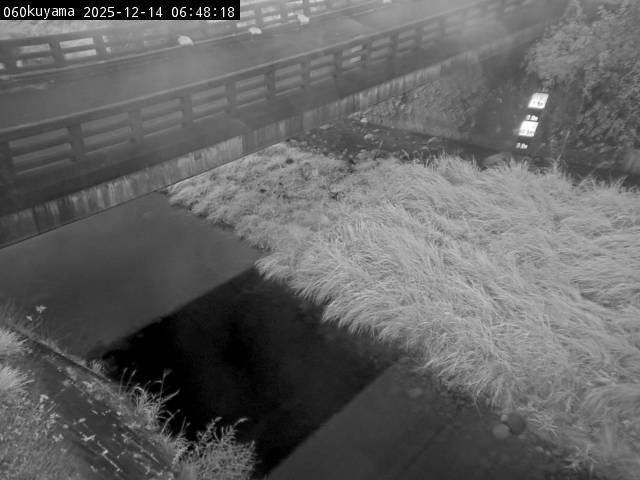 最新監視カメラ画像