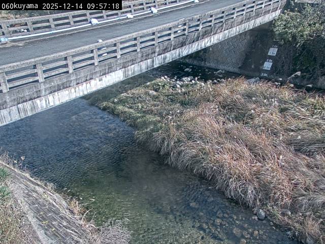 最新監視カメラ画像