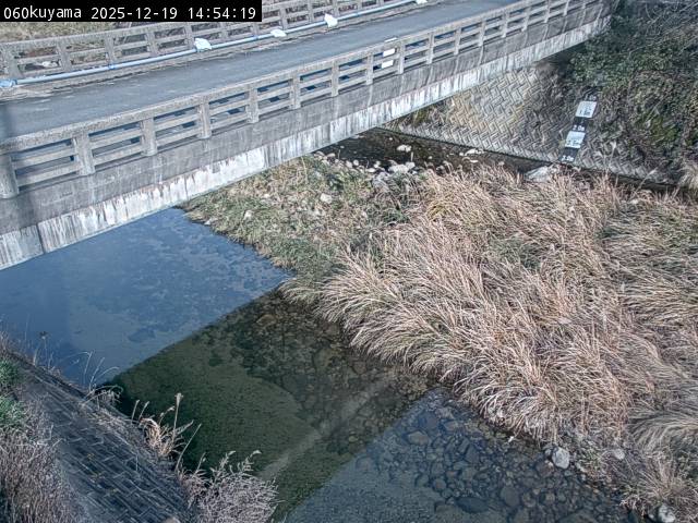 最新監視カメラ画像