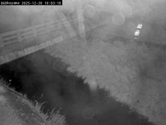 最新監視カメラ画像