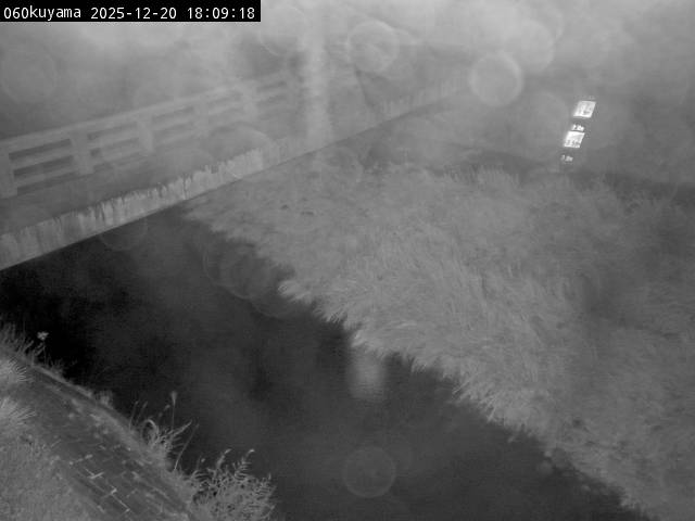 最新監視カメラ画像