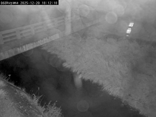 最新監視カメラ画像