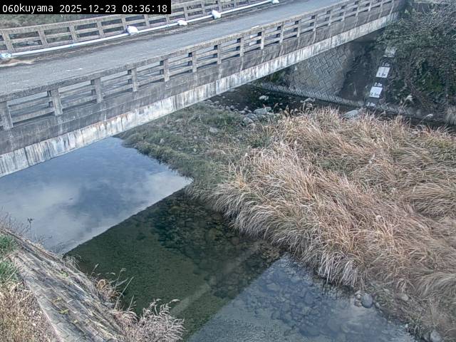 最新監視カメラ画像