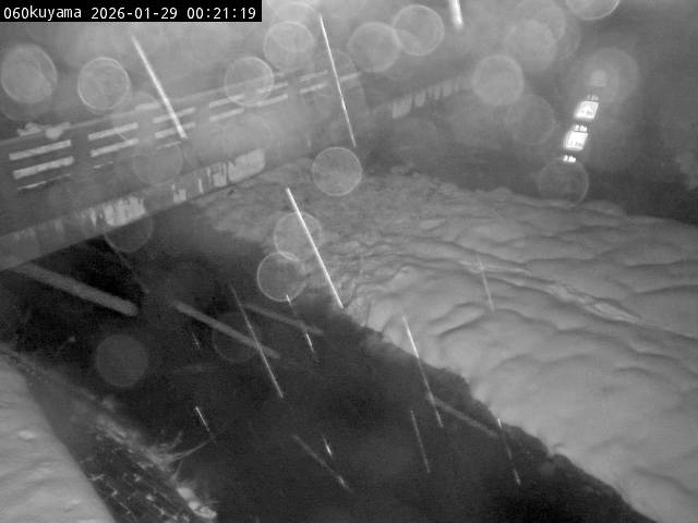 最新監視カメラ画像