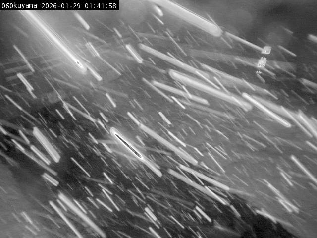 最新監視カメラ画像