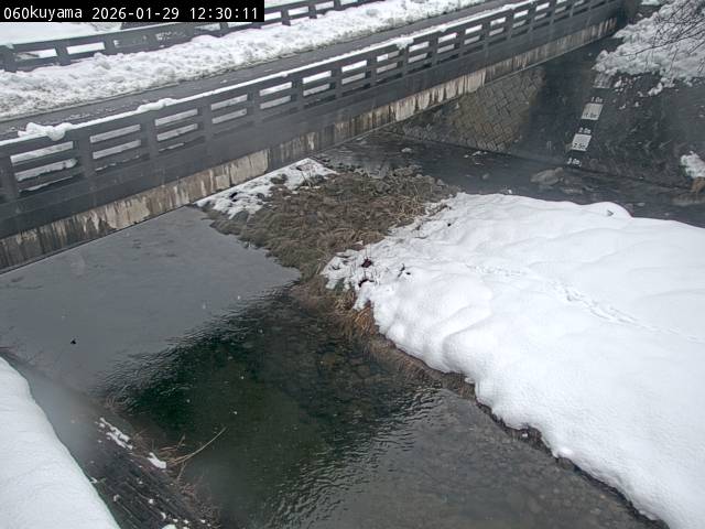 最新監視カメラ画像