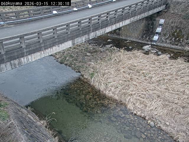 最新監視カメラ画像