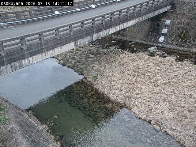 最新監視カメラ画像