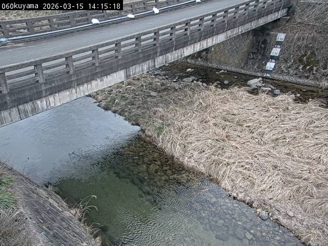 最新監視カメラ画像