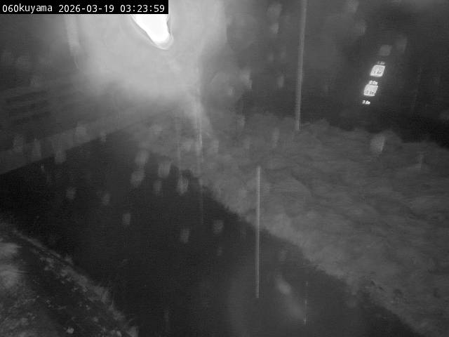 最新監視カメラ画像