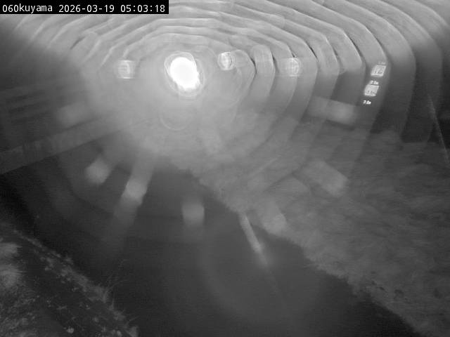 最新監視カメラ画像