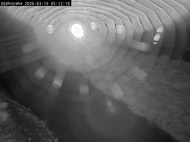 最新監視カメラ画像