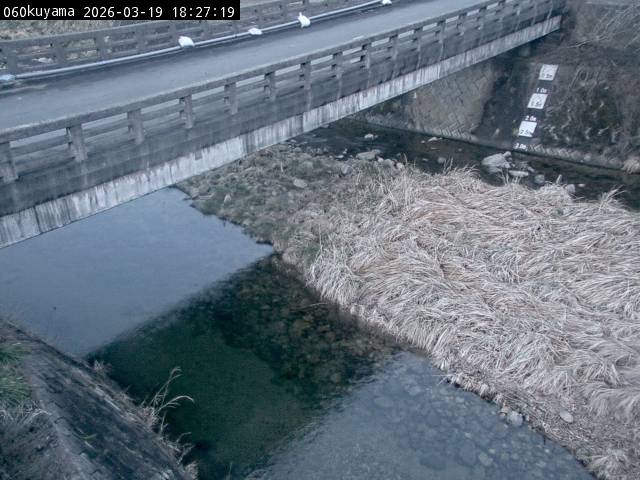 最新監視カメラ画像