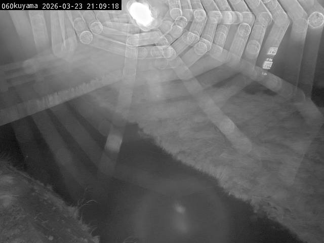 最新監視カメラ画像