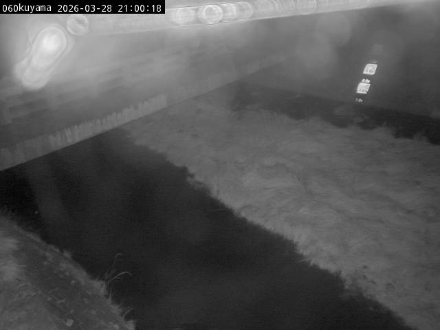 最新監視カメラ画像