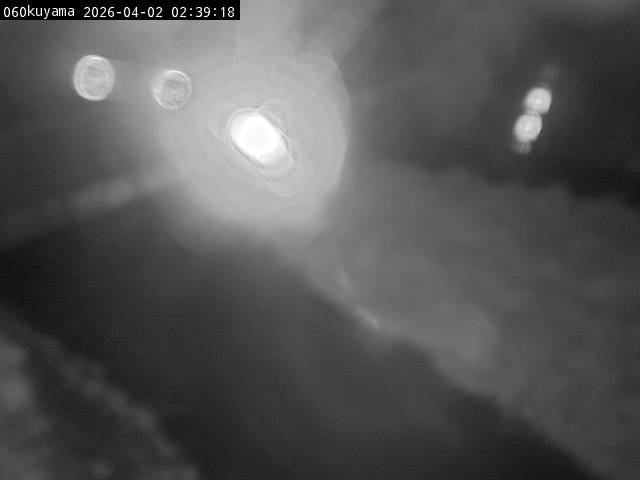 最新監視カメラ画像