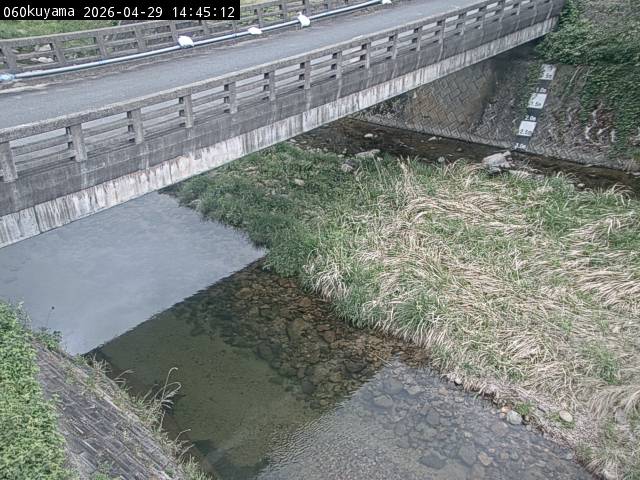 最新監視カメラ画像