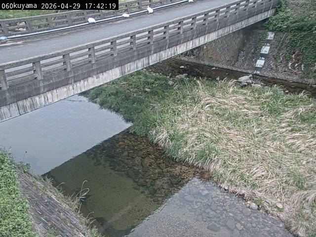 最新監視カメラ画像