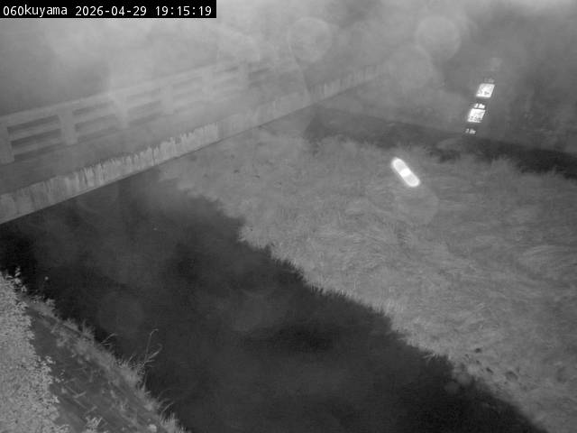 最新監視カメラ画像