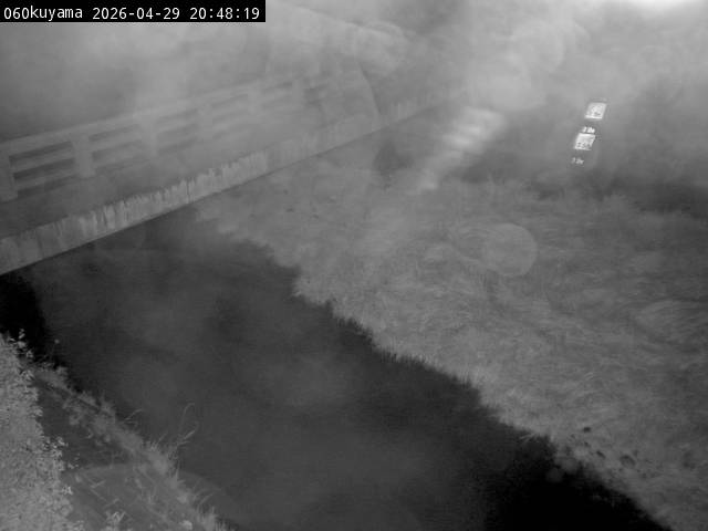 最新監視カメラ画像