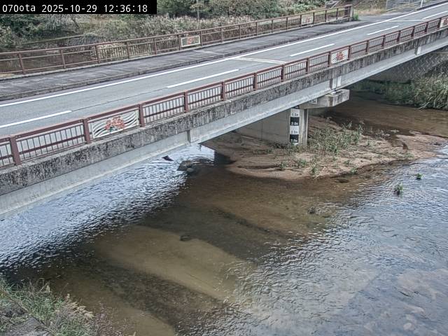 最新監視カメラ画像