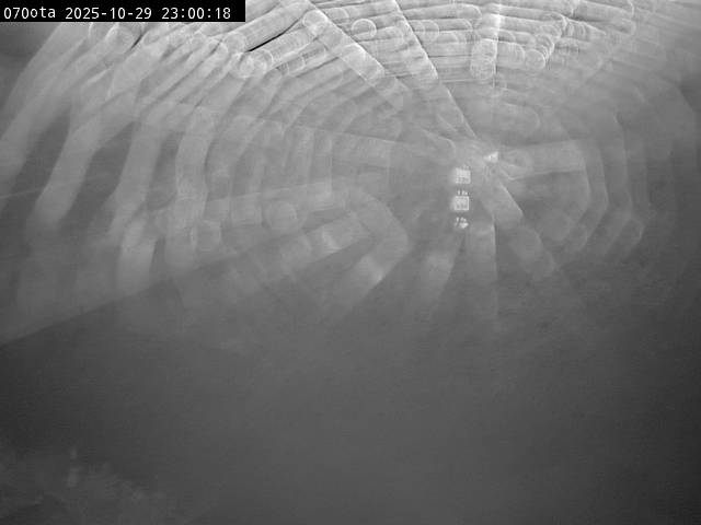 最新監視カメラ画像