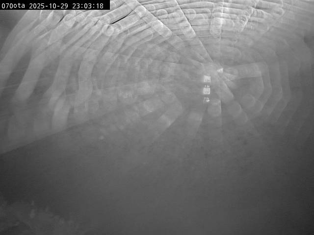 最新監視カメラ画像