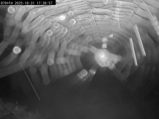 最新監視カメラ画像