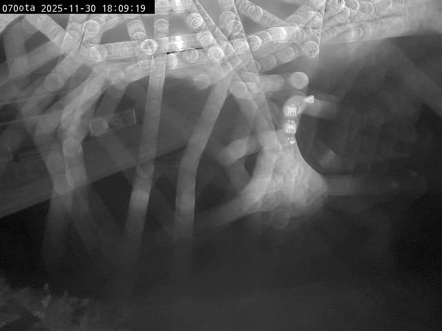 最新監視カメラ画像