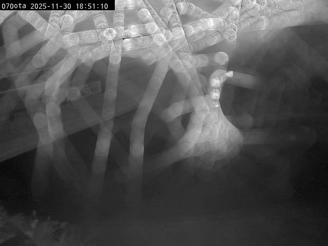 最新監視カメラ画像