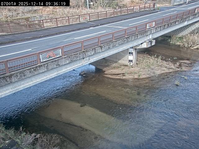 最新監視カメラ画像