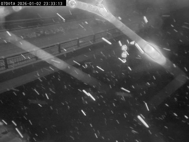 最新監視カメラ画像