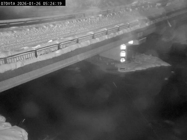 最新監視カメラ画像