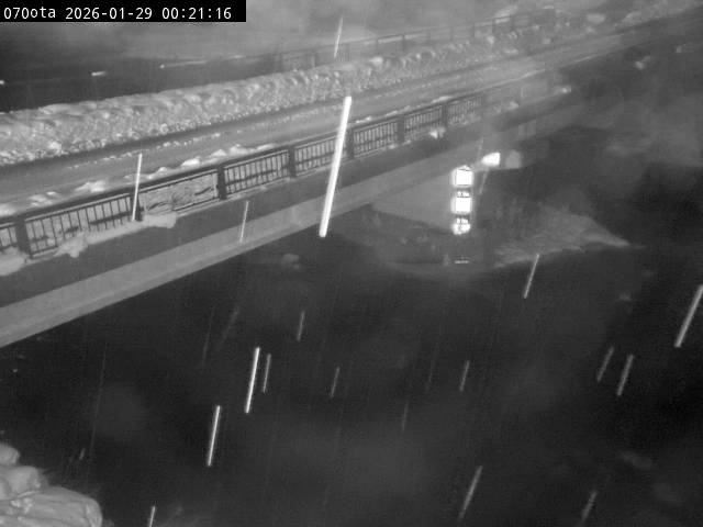 最新監視カメラ画像