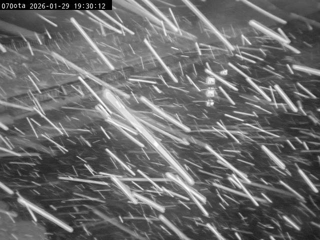 最新監視カメラ画像