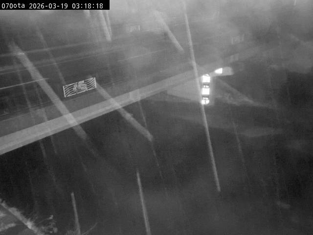 最新監視カメラ画像