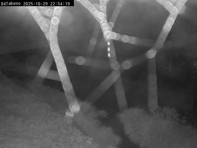 最新監視カメラ画像