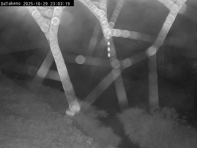 最新監視カメラ画像