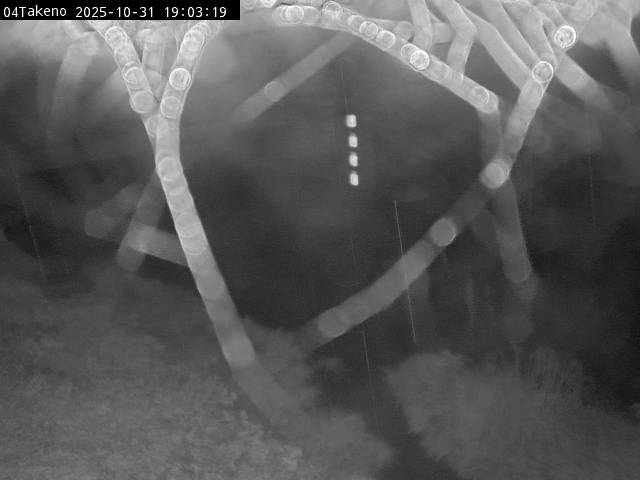 最新監視カメラ画像