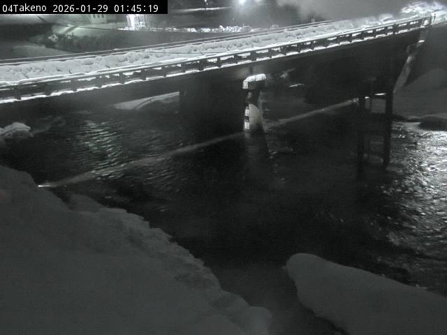 最新監視カメラ画像