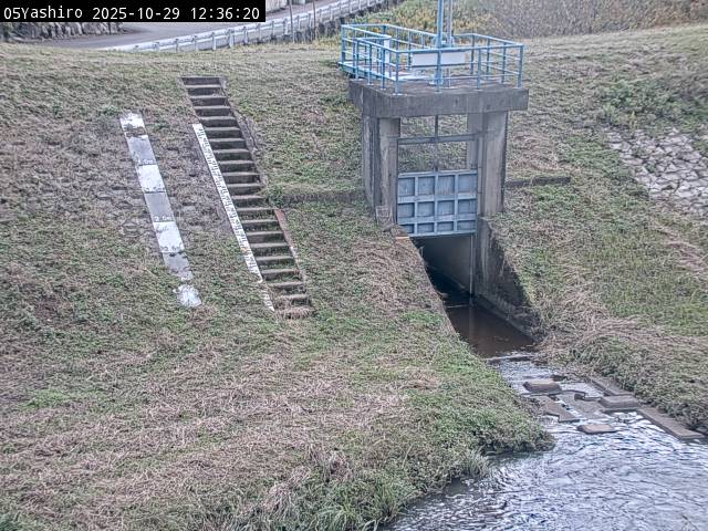 最新監視カメラ画像