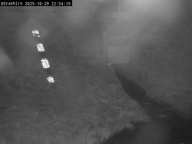 最新監視カメラ画像