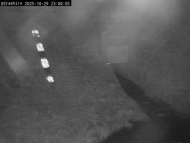 最新監視カメラ画像